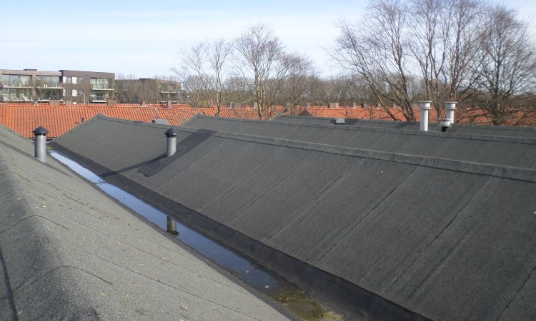 mjop-roelofarendsveen